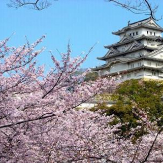 申请日本语言学校主要需要以下条件